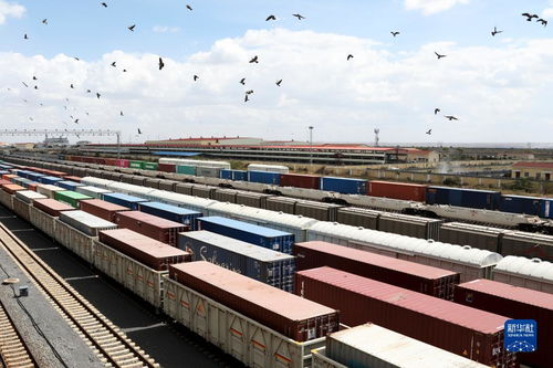 蒙內鐵路運營五周年 貨運引擎推動肯尼亞及東非經貿蓬勃發展